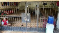 Seorang pria duduk di dalam kerangkeng manusia bupati langkat