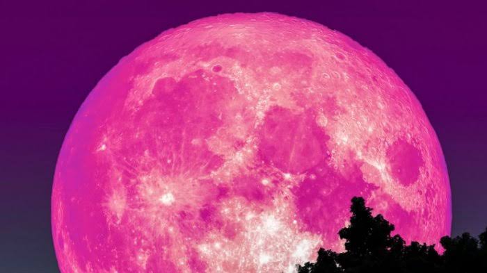 Pekan Ini, Bulan Purnama Pink Bakal Menyinari Bumi