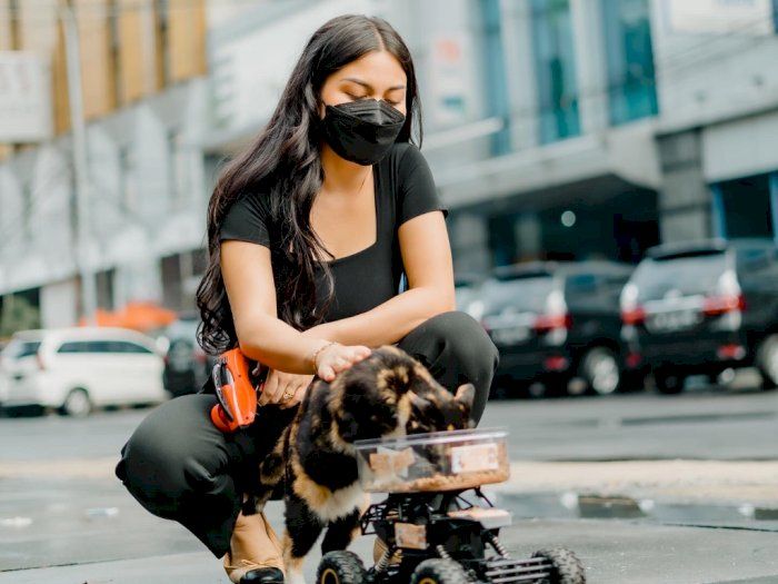 Tuai Pujian Karena Memberi Makan Kucing Liar di Jalan, Ariel Tatum Ngaku Dulu Benci Banget