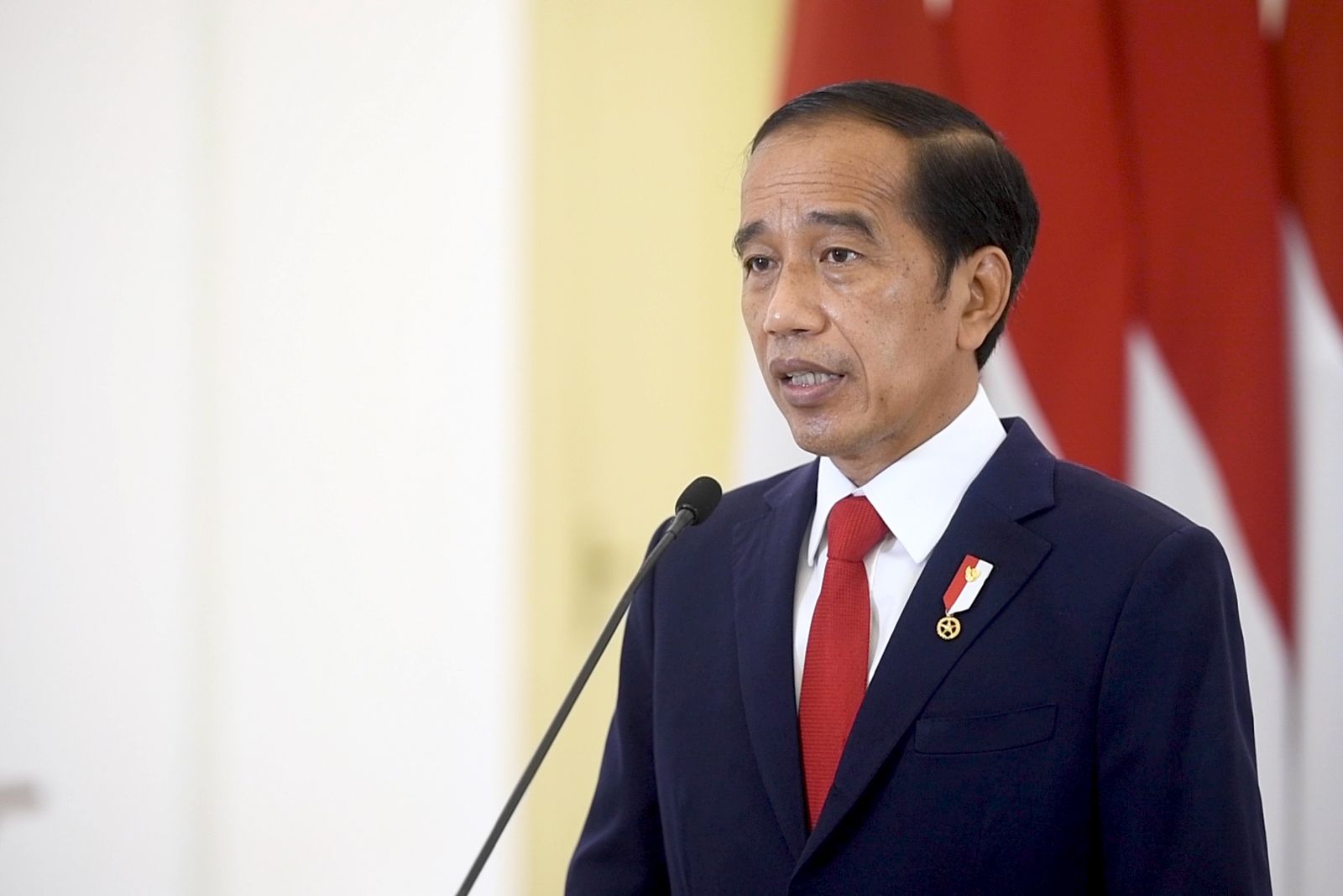 BPOM Diperintahkan oleh Presiden Jokowi untuk Tarik Obat Penyebab Gagal Ginjal Akut