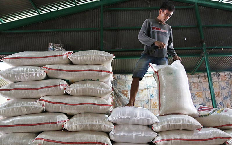 Bulog Bakal Beli Beras Petani Harga Berapa Pun Karena Menipisnya Cadangan Beras