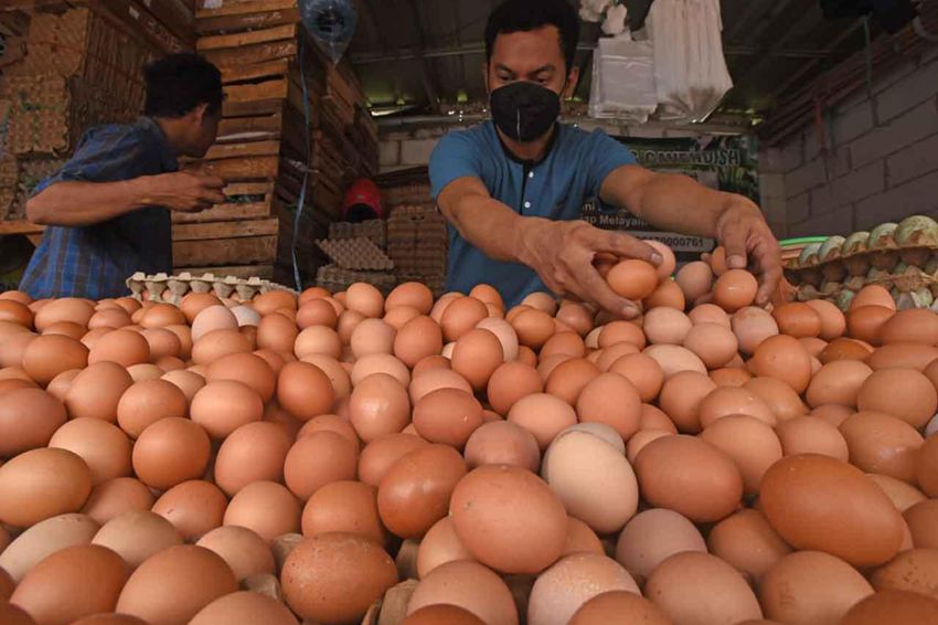 2 Minggu Jelang Natal dan Tahun Baru Harga Telur Ayam Semakin Naik