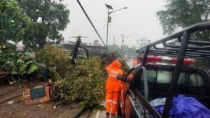 Angin Kencang Terjang Kemang Bogor, Pohon Tumbang dan Sejumlah Bangunan Rusak