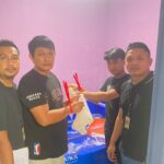 Polisi Tangerang Gagalkan Penyelundupan 30.000 Benih Lobster Ilegal ke Singapura